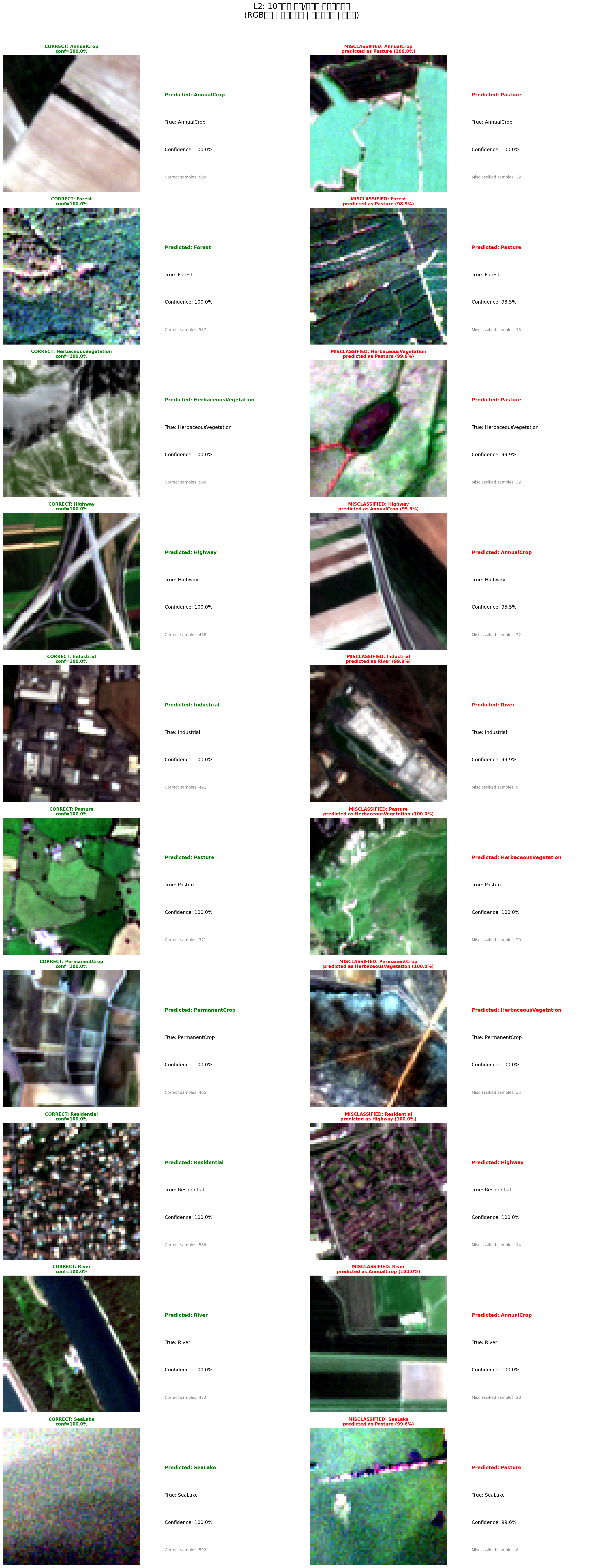 L2_correct_vs_misclassified