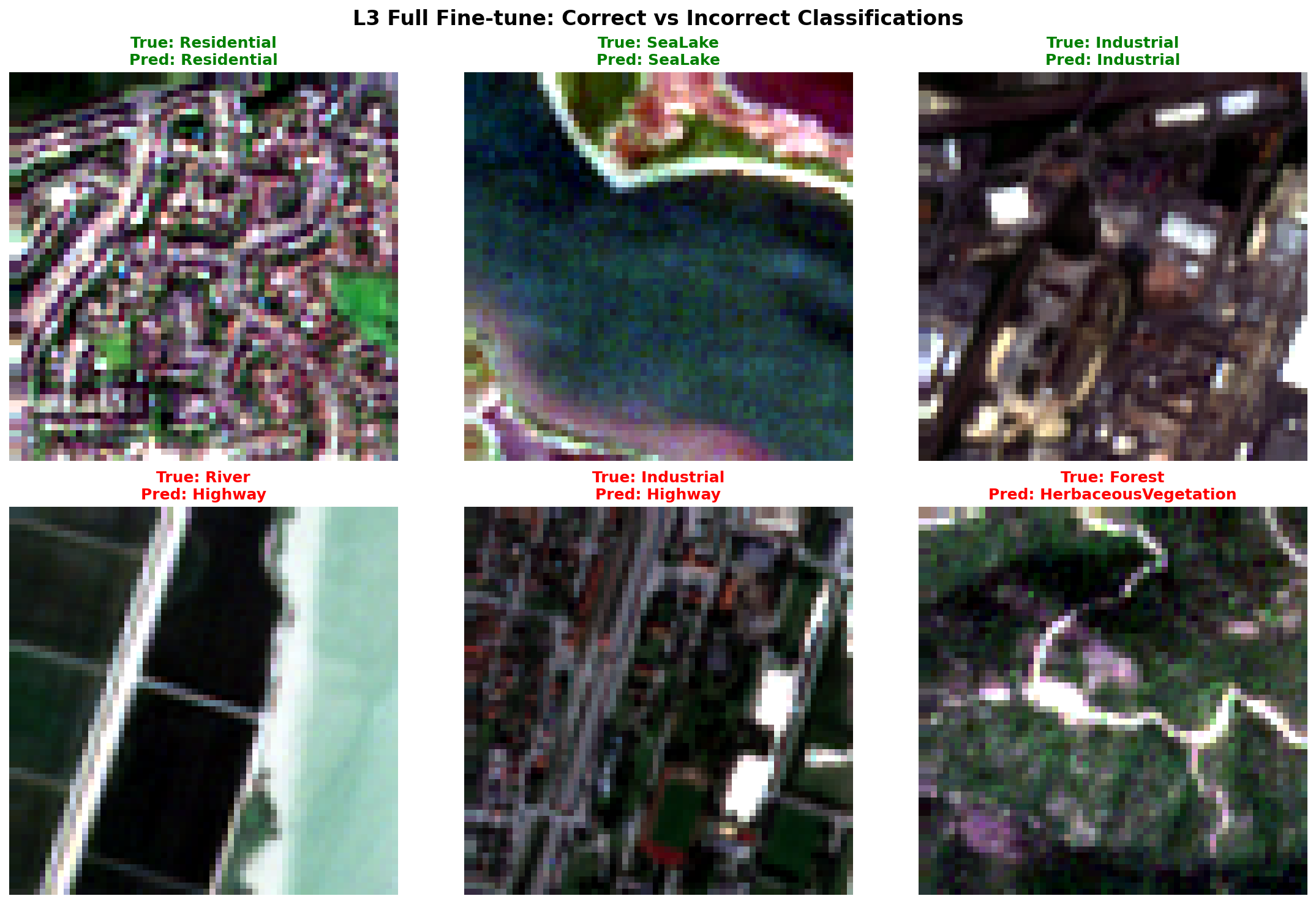 L3_correct_vs_incorrect