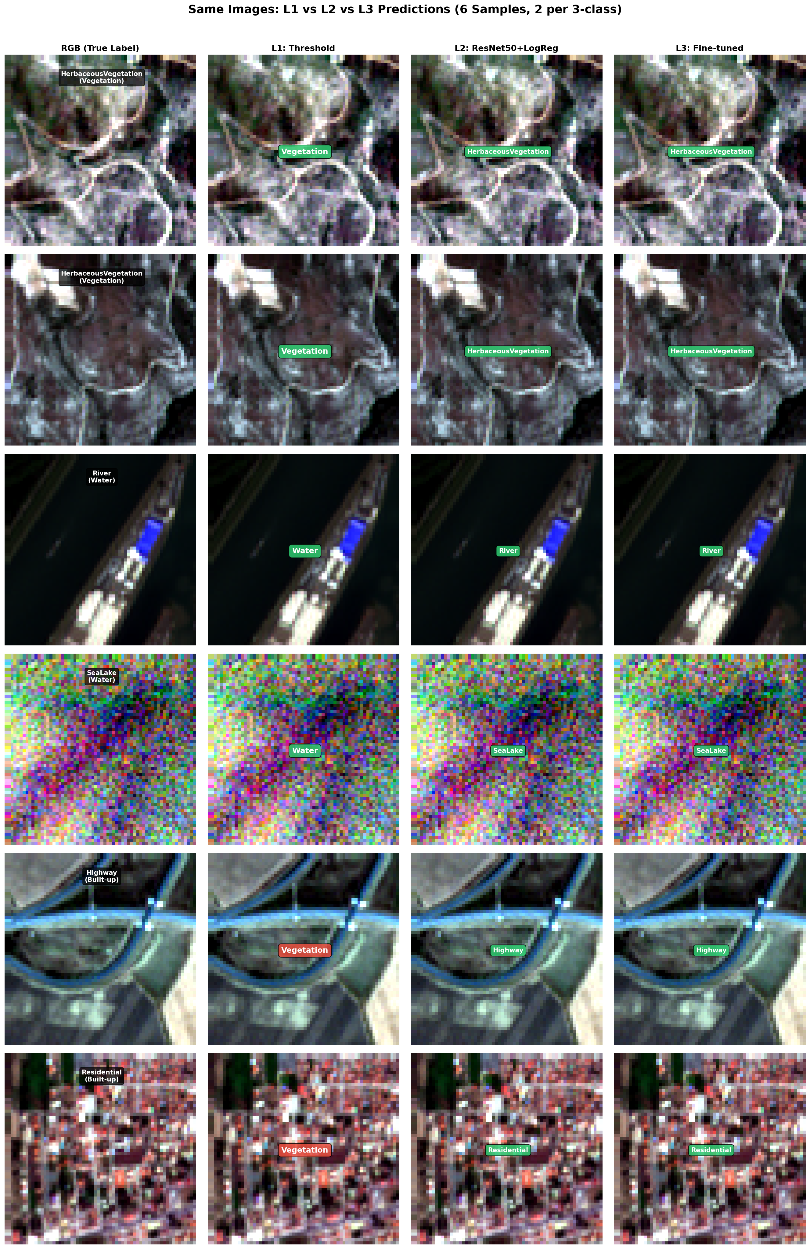 comparison_6samples_L1L2L3